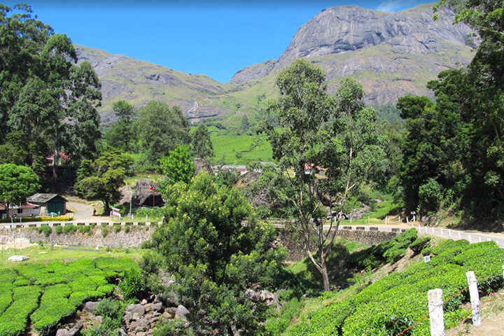 Eravikulam National Park