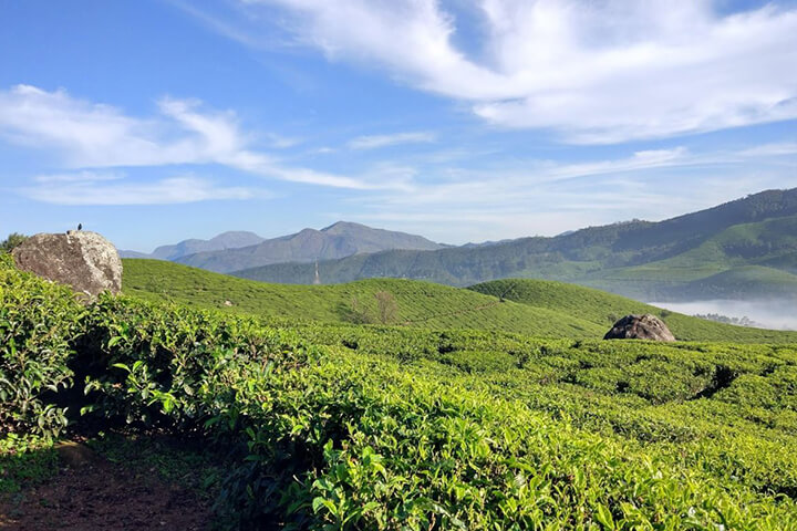 Lock Heart Gap Munnar