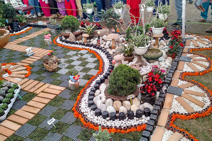 Chandigarh Rose Garden