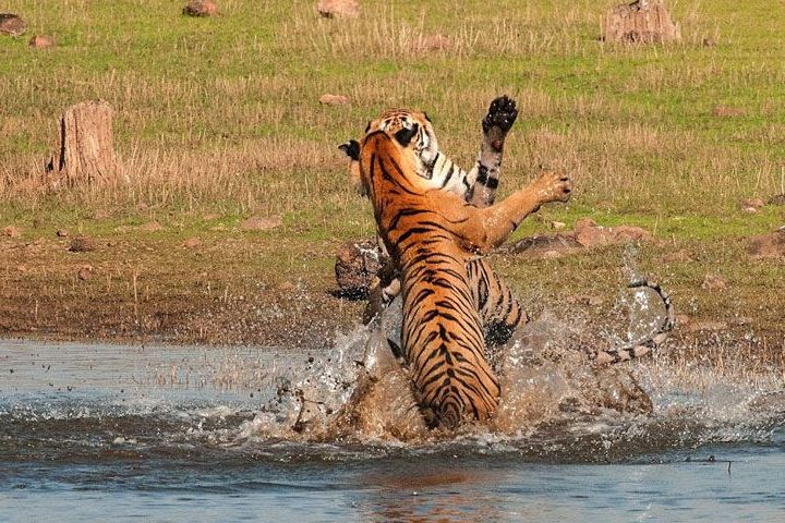 Koka Wildlife Sanctuary