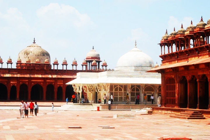ANIMAL SAFARI IN FATEHPUR SIKRI