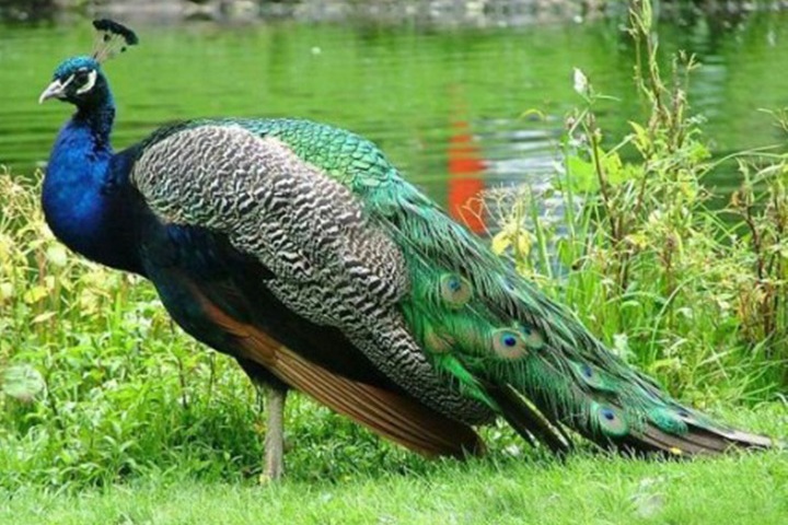 TREKKING IN JHARKHAND