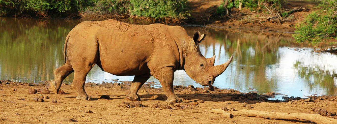 Sariska National Park