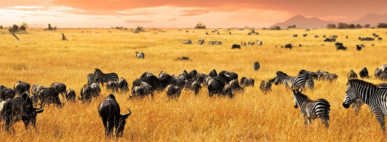 Namdapha National Park