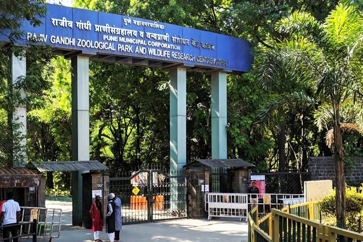 Katraj Zoo (Rajiv Gandhi Zoological Park)