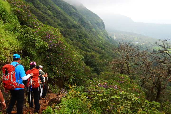 Tamhini Ghat