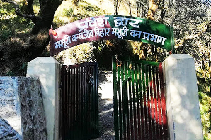 Benog Wildlife Sanctuary