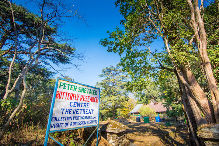 Butterfly Research Centre