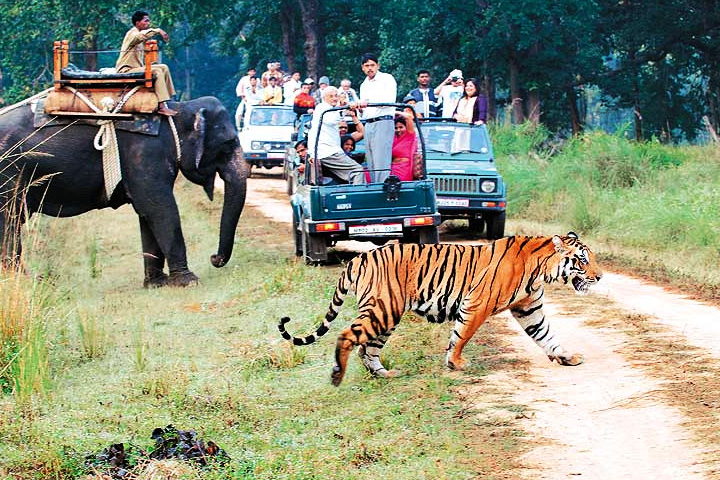 Jim Corbett National Park