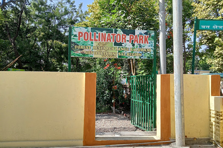 Pollinator Park (Biodiversity Park)