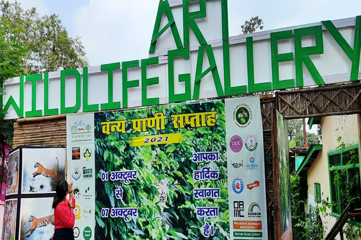 Wildlife Art Gallery