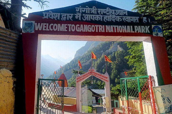 Gangotri National Park
