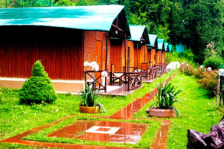 Mashobra Greens Camp