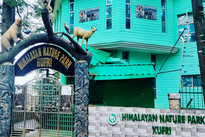 Himalayan Nature Park (Kufri Zoo)