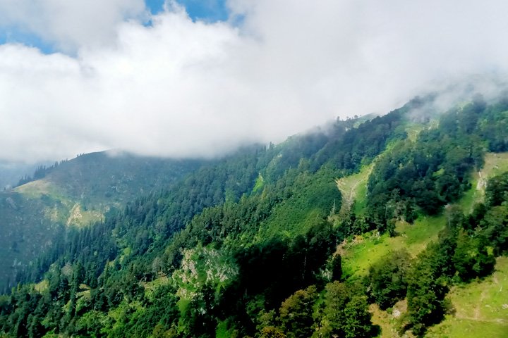 Churdhar Wildlife Sanctuary