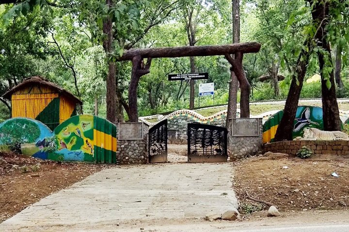 Sainwala Nature Park