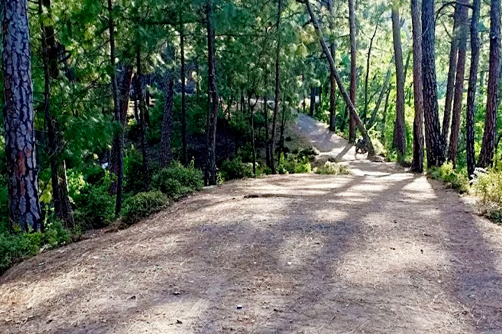 Shilli Wildlife Sanctuary