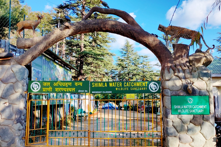 Shimla Water Catchment Wildlife Sanctuary