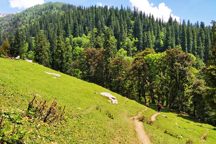Ali Bedni Bugyal Trek