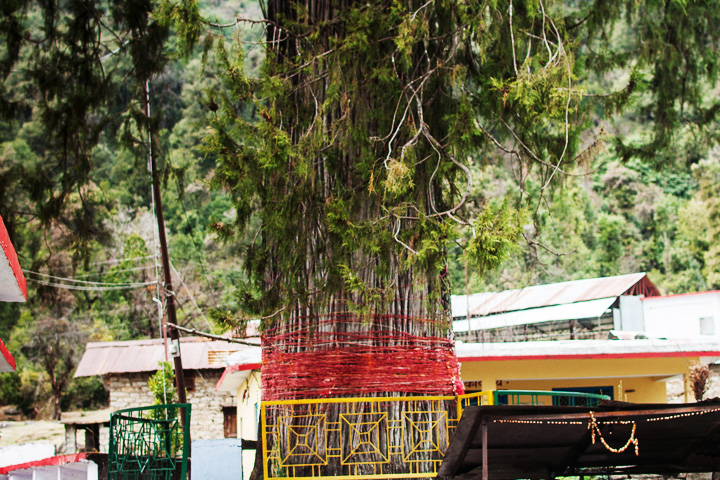 Anasuya Devi & Atri Muni Trek