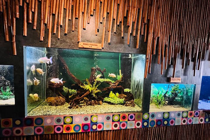 Aquarium Island Cafe