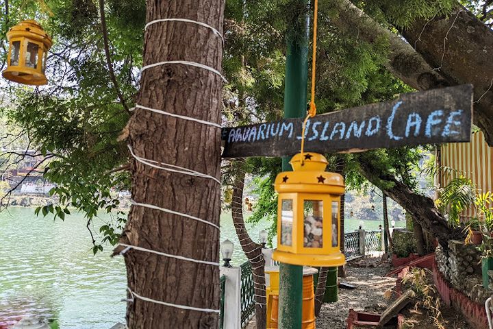 Aquarium Island Cafe