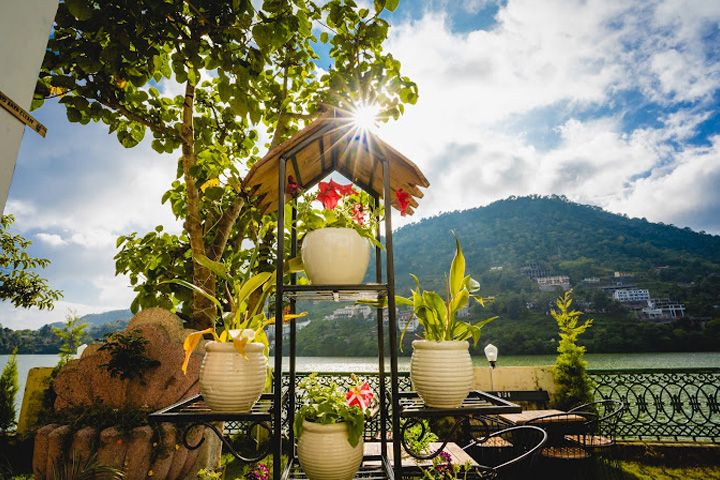 Aquarium Island Cafe