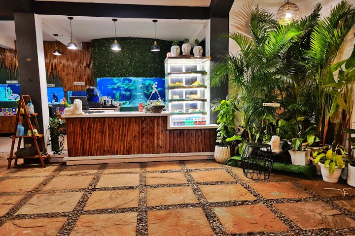 Aquarium Island Cafe