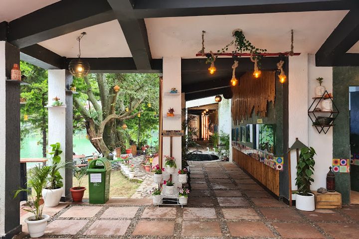 Aquarium Island Cafe