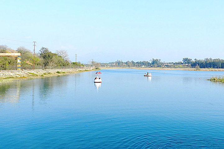 Asan Barrage Bird Sanctuary