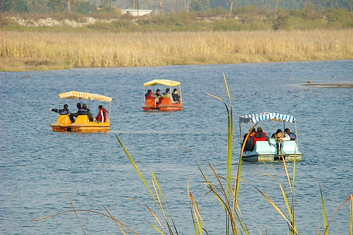 Asan Barrage Bird Sanctuary