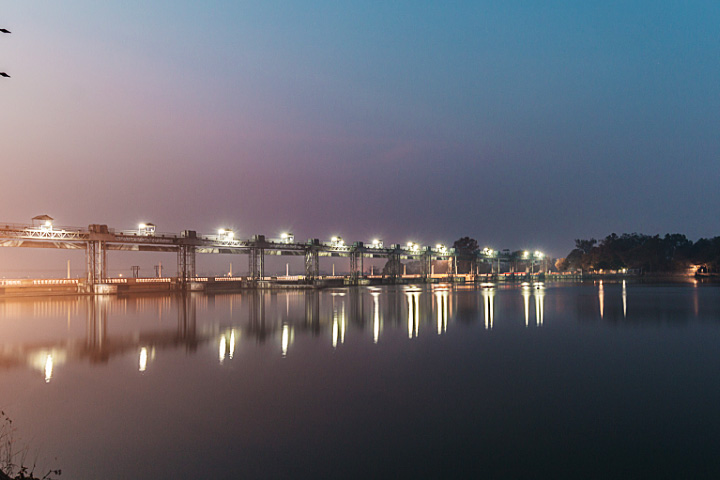 Asan Barrage Bird Sanctuary