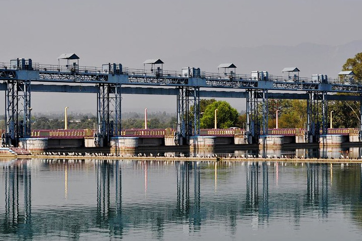 Asan Barrage Bird Sanctuary