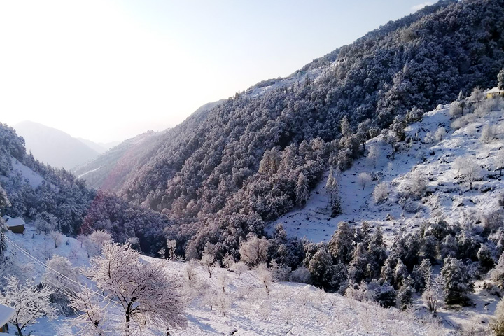 Bandli Wildlife Sanctuary