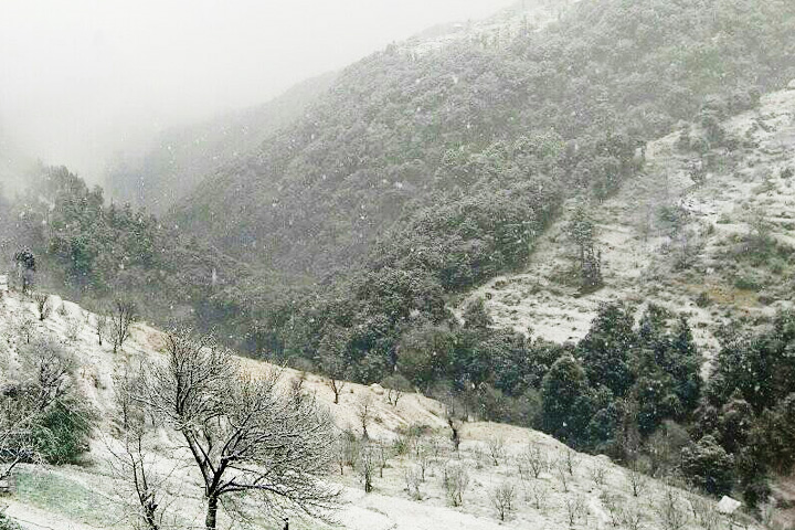 Bandli Wildlife Sanctuary