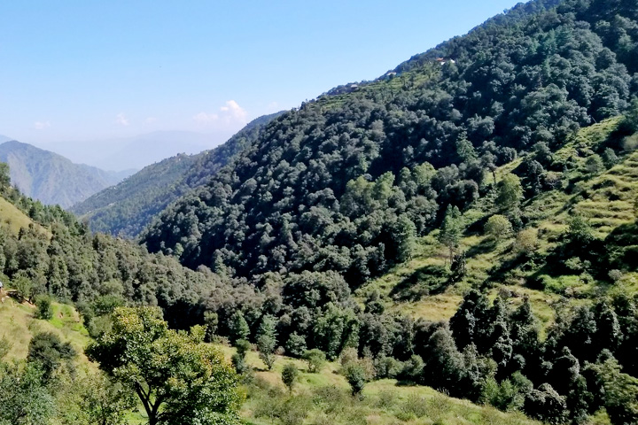 Bandli Wildlife Sanctuary