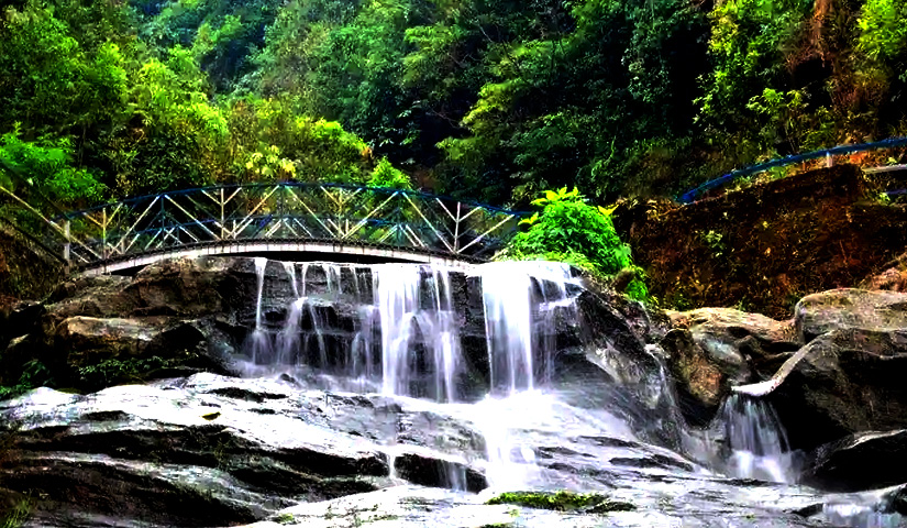 Barbotey Rock Garden