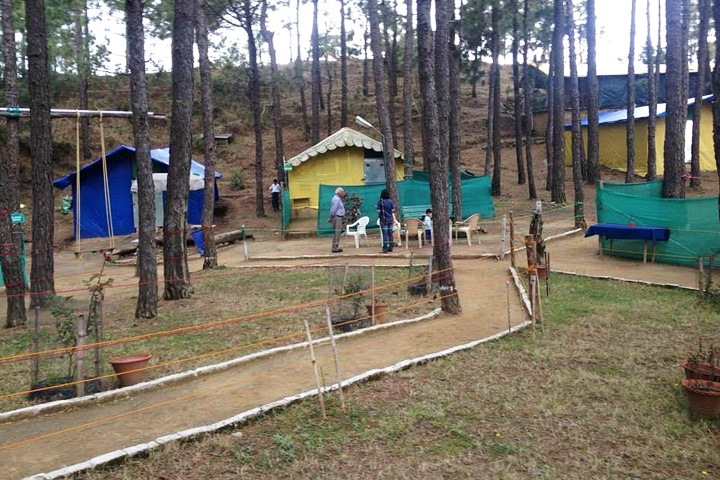 Barog Camping Ground
