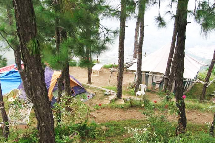 Barog Camping Ground