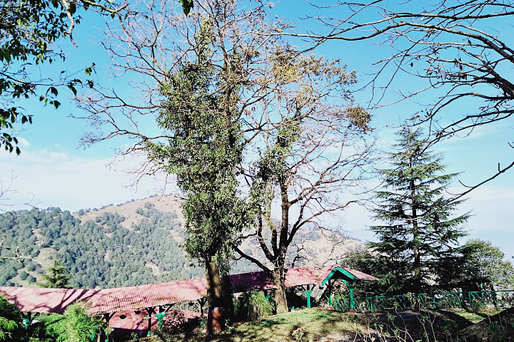 Benog Wildlife Sanctuary