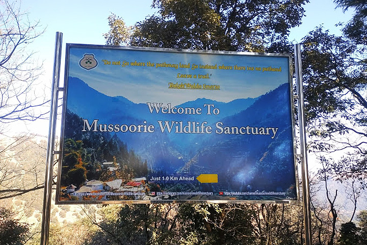 Benog Wildlife Sanctuary