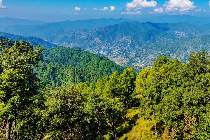 Binsar Wildlife Sanctuary