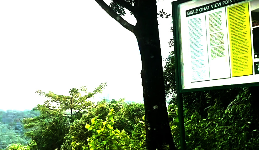 Bisle Ghat View Point