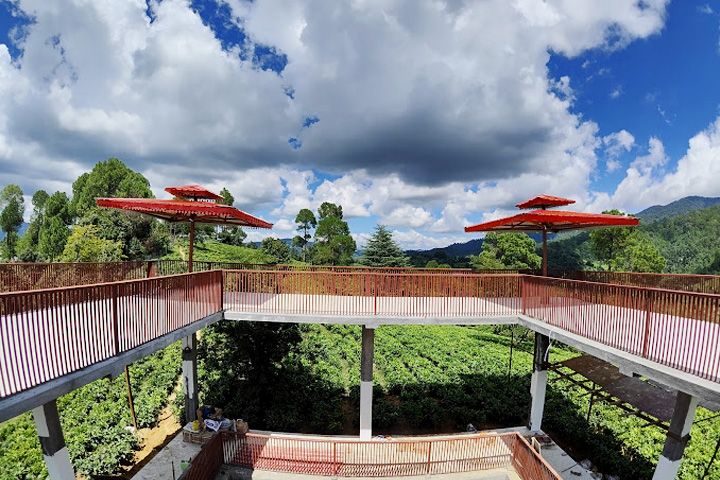 Botanical Tea Garden