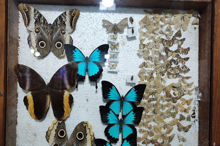 Butterfly Research Centre