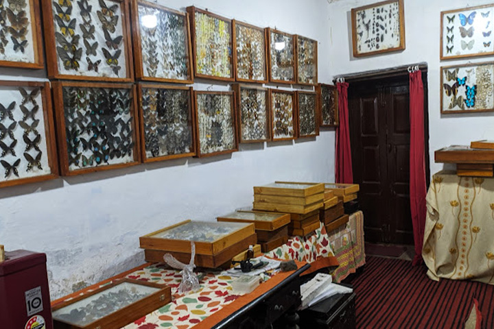 Butterfly Research Centre