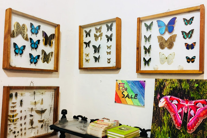 Butterfly Research Centre