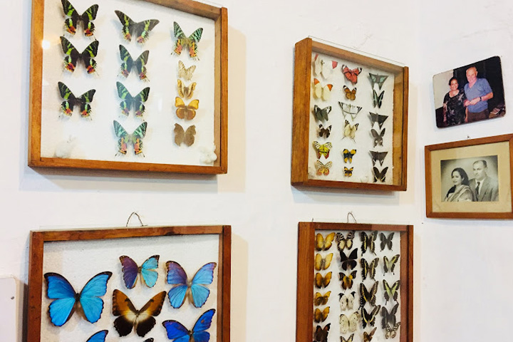 Butterfly Research Centre