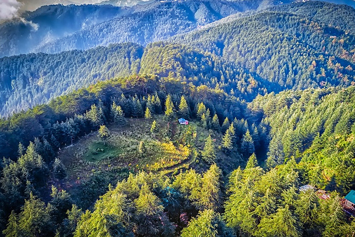 Chail Wildlife Sanctuary