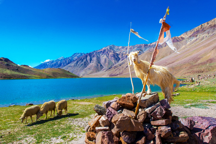 Chandratal Wildlife Sanctuary